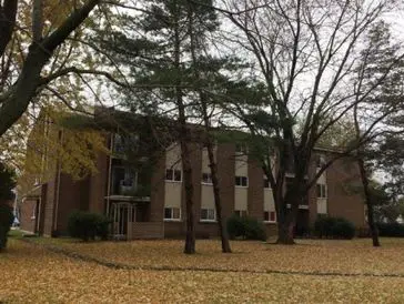 A brick building partially obscured by large trees with fallen autumn leaves on the ground.