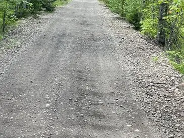 A gravel path surrounded by greenery on both sides.
