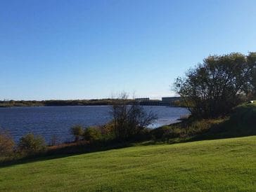 A grassy shoreline with trees beside a calm body of water under a clear blue sky.