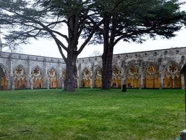 Historic courtyard with large trees and ornate arches.