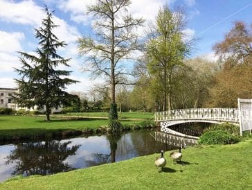 A peaceful park scene with a small bridge and geese by the water.