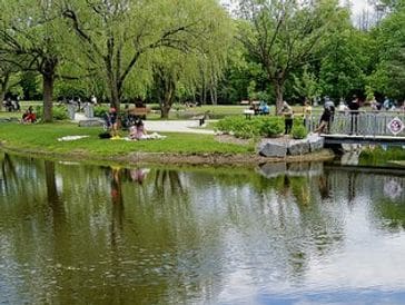 People relaxing by a calm pond in a green park with trees.