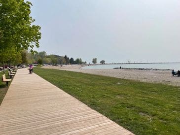 A calm beach with a wooden boardwalk and grassy area under a clear sky.