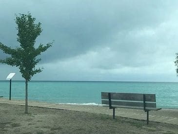 A lone bench by a serene lakeside under a cloudy sky.