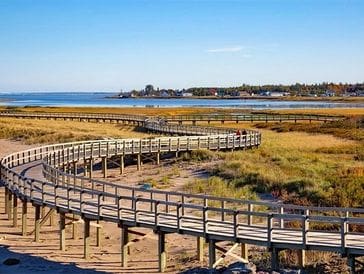 Curved wooden boardwalk over marshland near a coastal town.