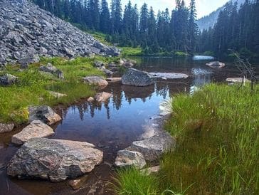 A serene mountain stream surrounded by rocks and pine trees.