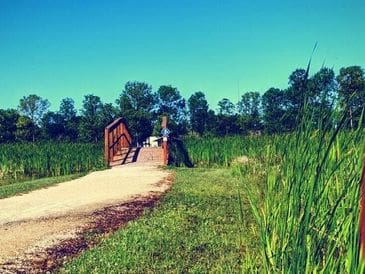 A rustic wooden bridge over a grassy path under a clear blue sky.
