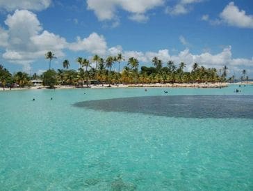 Clear turquoise water with palm trees under a blue sky.