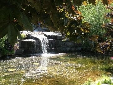 A serene waterfall cascading into a clear, shallow pool surrounded by greenery.