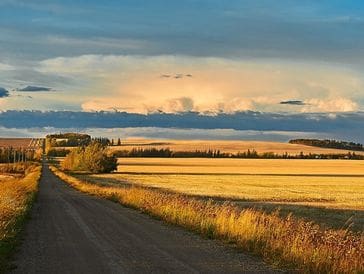 A rural road beside golden fields under a cloudy sunset sky.