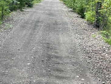 A gravel path surrounded by greenery on both sides.