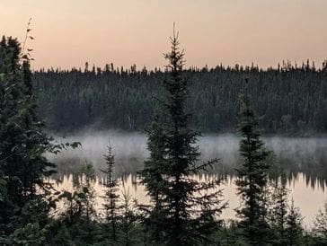 Misty forest at sunrise with tall evergreen trees near a calm lake.
