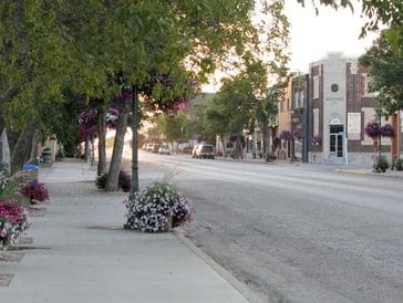 Quiet street lined with trees and buildings during sunset.
