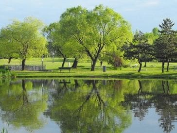 A serene park with green trees reflected in a calm pond.