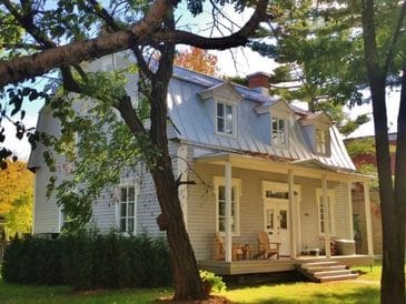 Charming white cottage with a porch surrounded by trees.