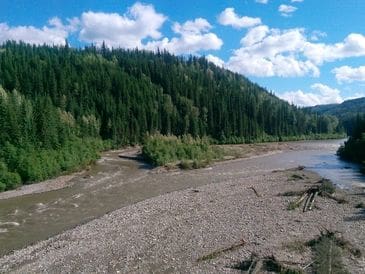 A river flowing through a forested mountainous landscape under a blue sky.