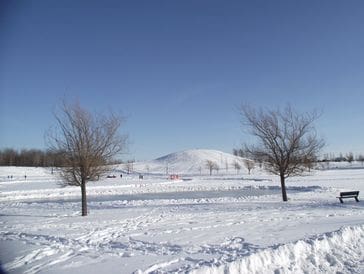 Snow-covered landscape with two leafless trees under a clear blue sky.