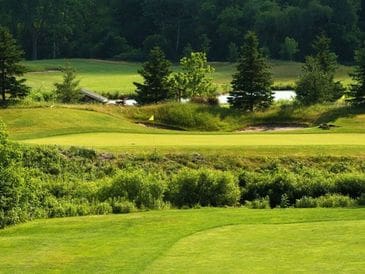 A serene golf course with lush green grass and trees.