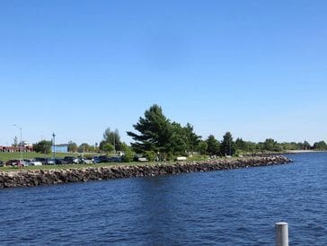 A calm waterfront with trees and a clear blue sky.