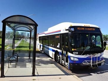 City bus at a bus stop on a sunny day.