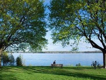 Person sitting on a bench by a lake under large trees on a sunny day.