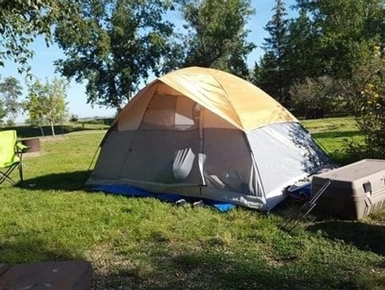 A tent set up on grassy ground under trees.