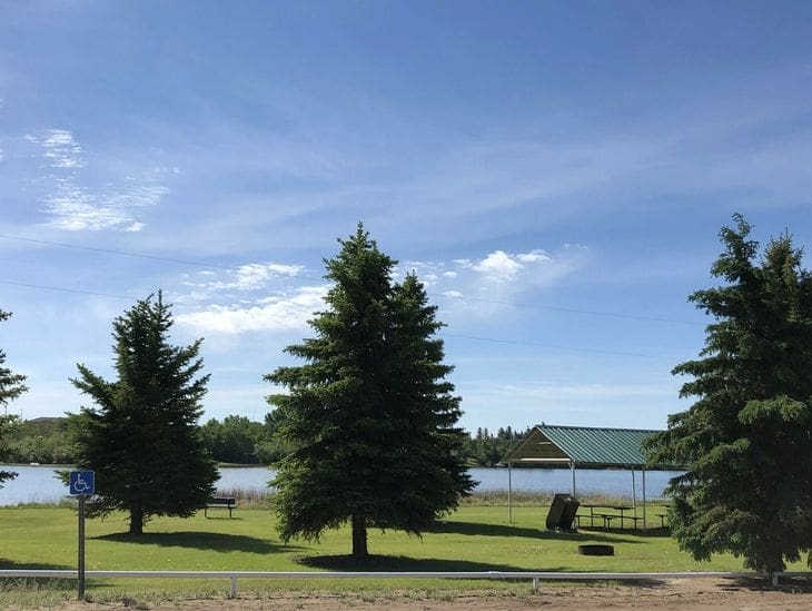 Peaceful lakeside scene with green trees and a swing under a blue sky.