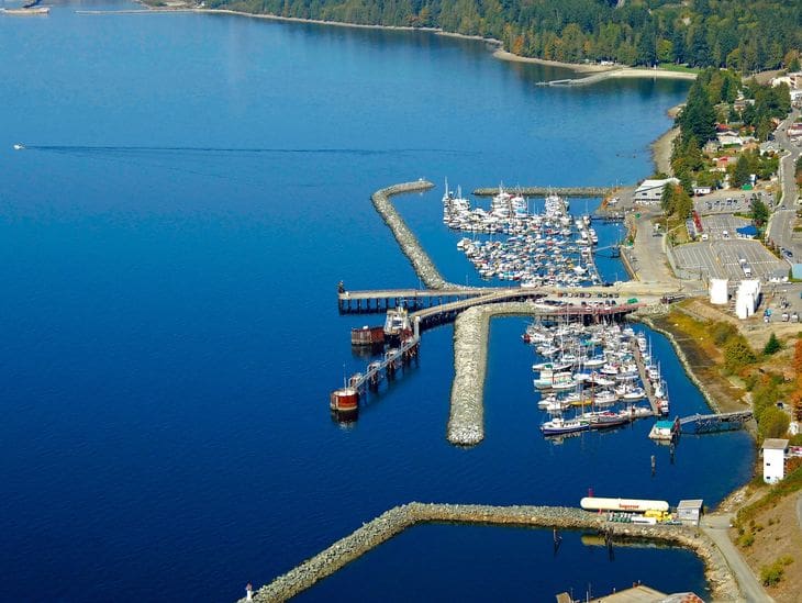 Aerial view of a marina with boats docked along piers in calm blue water.