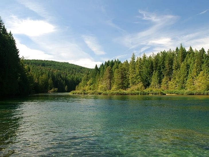 A serene lake surrounded by lush green forest under a clear blue sky.