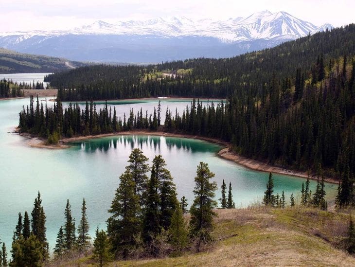 Scenic mountain lake surrounded by pine trees and snow-capped peaks.