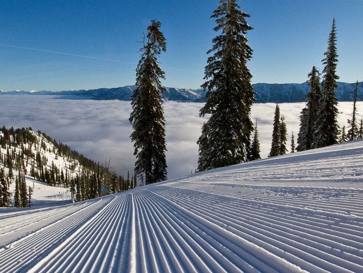 Freshly groomed ski slope with tall pine trees and a sea of clouds below.