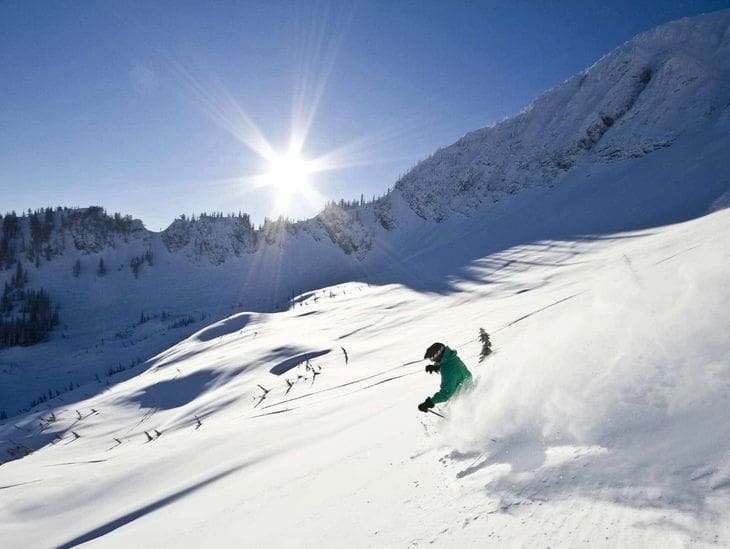Skier carving through fresh snow on a sunny mountain day.