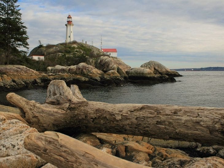Lighthouse on rocky shore with driftwood in foreground under cloudy sky.