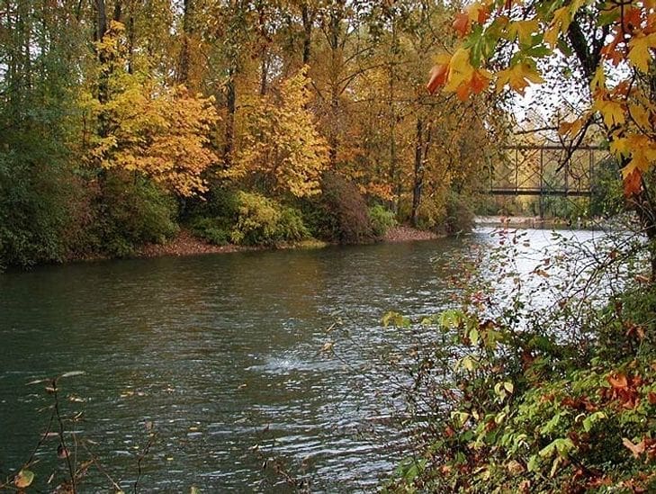 A peaceful river flows through autumn-colored trees under a cloudy sky.