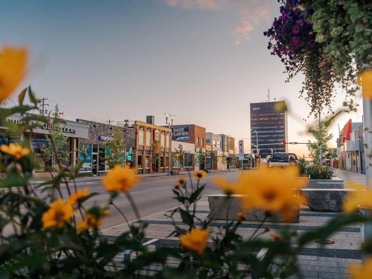 Urban street scene with yellow flowers in foreground at sunset.