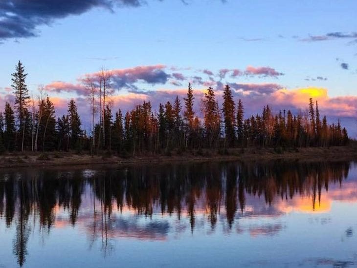 Sunset reflecting on a calm lake with tall trees silhouetted.