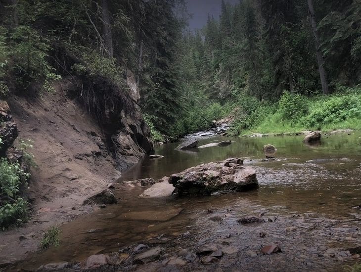 A calm forest stream flowing through a rocky, shaded area.