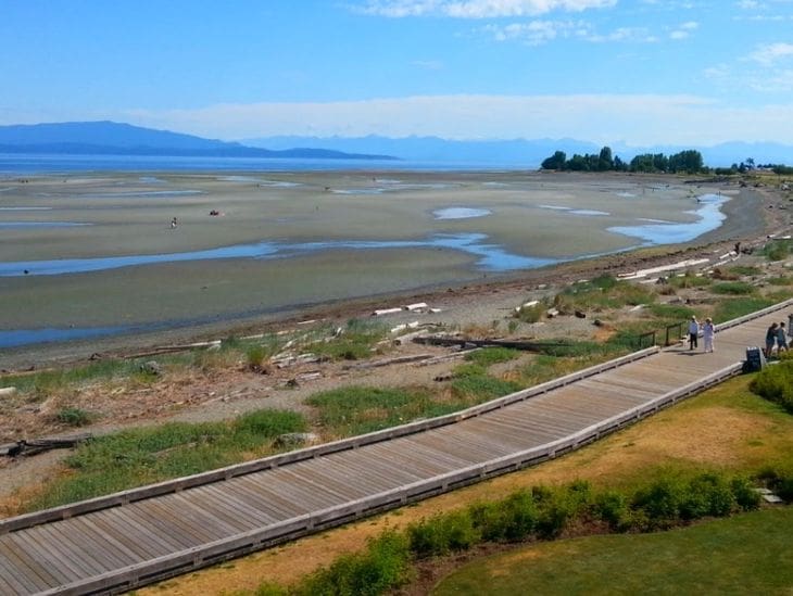 A wooden boardwalk along a river with mountains in the background.
