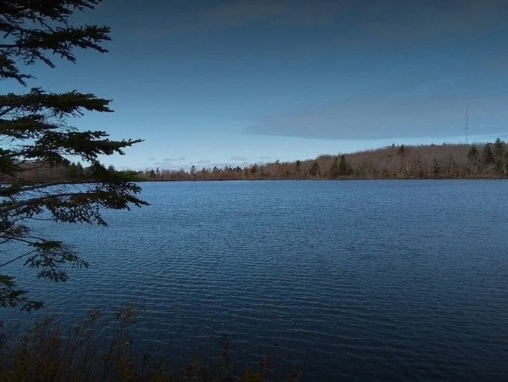 Calm lake under a clear blue sky with distant trees.